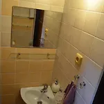 V Soukromi Razlovi דירה
